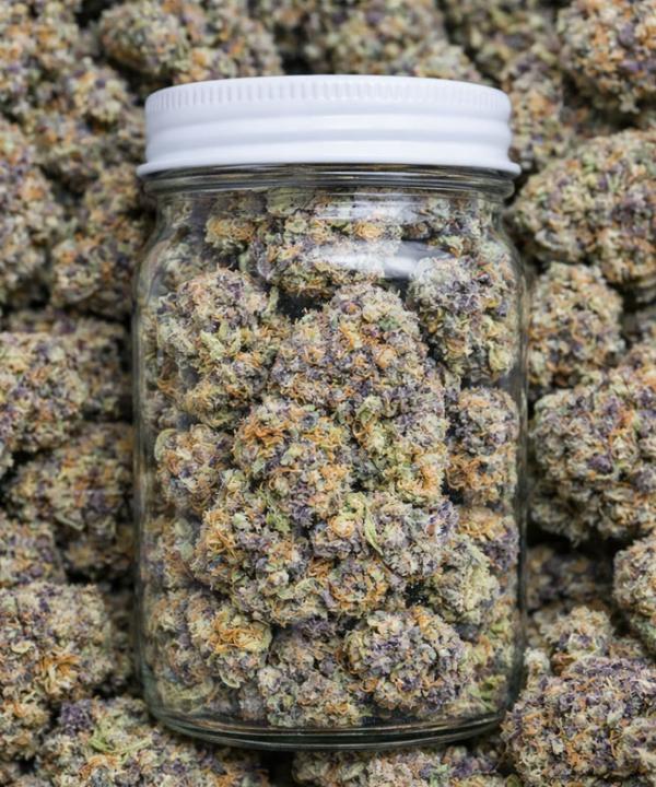 High-potency Trop Cherries THCA flower buds featuring deep purple and green hues with orange hairs, displayed in a clear glass jar.