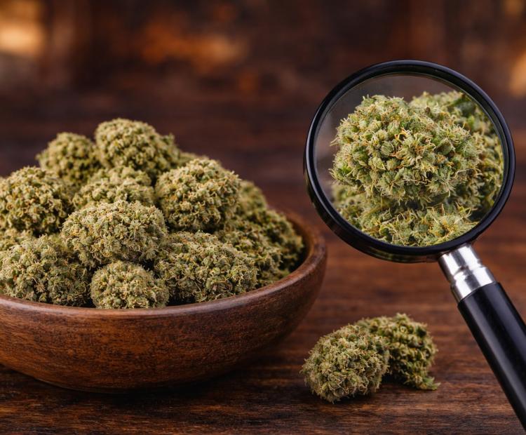 Premium hemp flower available at Green Leaf Botanicals 919 in Apex NC