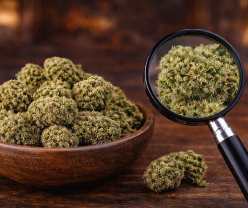 Premium hemp flower available at Green Leaf Botanicals 919 in Apex NC