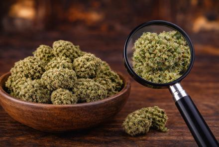 Premium hemp flower available at Green Leaf Botanicals 919 in Apex NC